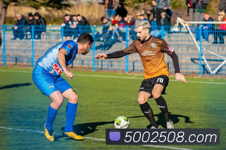 体育直播服务